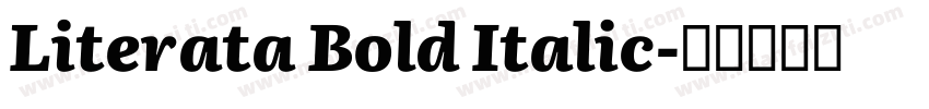 Literata Bold Italic字体转换